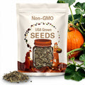 Atlantic Giant Pumpkin Seeds ¨C Packet of 2 Seeds | Grow Huge, Bright Orange Pumpkins!