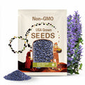 Blue Skullcap Flower Seeds - Heirloom Seeds, Mad Dog Skullcap, Virginia Skullcap, Medicinal Herb, Pollinator Friendly, Non-GMO