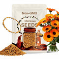 Sunset Buff Calendula Seeds ¨C Heirloom Medicinal Flower with Apricot Blooms, A Customer Favorite for Herb Gardens | 50 Seeds