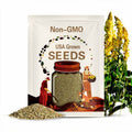 Mullein Seeds ¨C Heirloom Herb, Verbascum Thapsus, Apothecary Garden, Herbal Remedy, Soothing Tea Herb | 100 Seeds