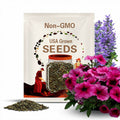 Hurrah Plum Petunia Seeds, Pelleted for easier sowing and germination, Petunia Hybrida PE6925P