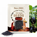 Eggplant Black Beauty Seeds 200+ Vegetable Garden NON-GMO Heirloom USA