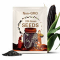 Black organic sticky corn seeds, ºÚɫÓлúŴÓñÃ×ÖÖ×ӣ¬30 seeds