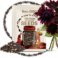 Chocolate Cherry Sunflower Seeds: Rare Heirloom