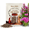 None So Pretty Catchfly Seeds 1000+ Annual FLOWER Silene Armeria USA