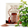 Pinto Bean Seeds - Heirloom Seeds, Runner Bean Seeds, Refried Beans, Soup Bean, Open Pollinated, Untreated, Non-GMO