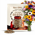 BEGINNER FLOWERS Seed Bundle | 12 Unique Seed Packets, Easy-To-Grow Variety Pack for New Gardeners or Kids, Pollinator Flower Gardening