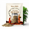 Seasonal Delicious Large Leaf Coriander Seeds -Ëļ¾ÃÀζ´óҶÏã²ËÖÖ×Ó-100 Seeds per Packet