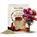 Yarrow Summer Berries - 25 Seeds -Great Dried! - Achillea millefolium.