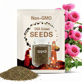 50pcs Rare Pink Giant Teddy Bear Sunflower Seeds - Unique Fluffy Blooms