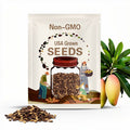 2 Thai Sweet Mango Seeds: Nam Dok Mai Variety