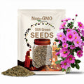 50s|Rose (Dwarf Early) Cosmos Flower Seeds- Open-Pollinating - Clumping - Easy To Grow - Planting In Spring/ Summer #L016